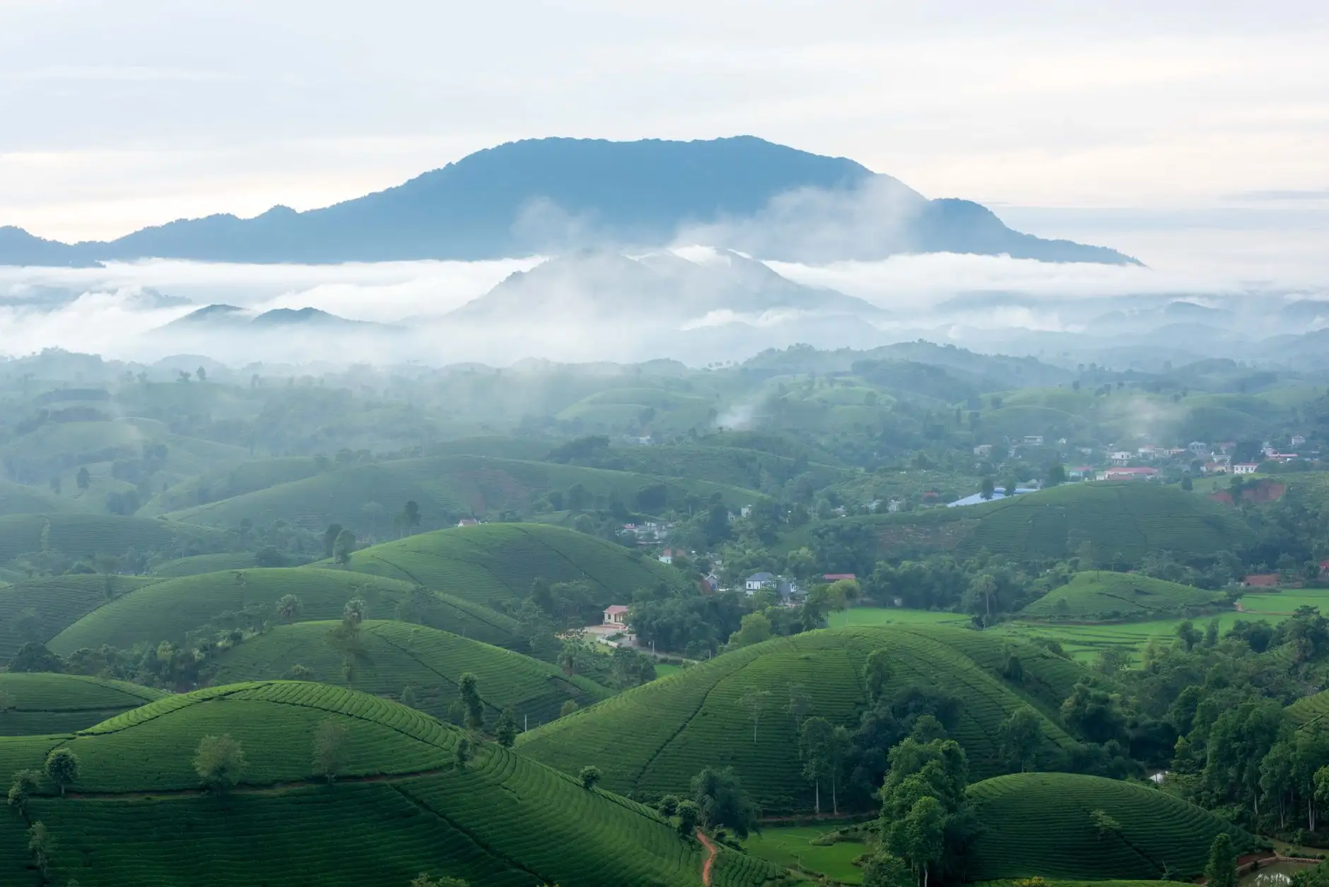 智能指纹锁在华中家庭公寓场景中的应用优势解析